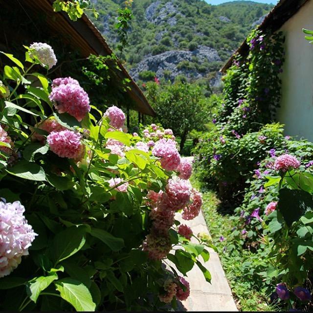 Dolunay Apart Hotel Чирали Екстериор снимка