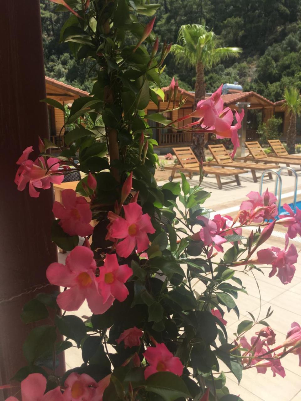Dolunay Apart Hotel Чирали Екстериор снимка